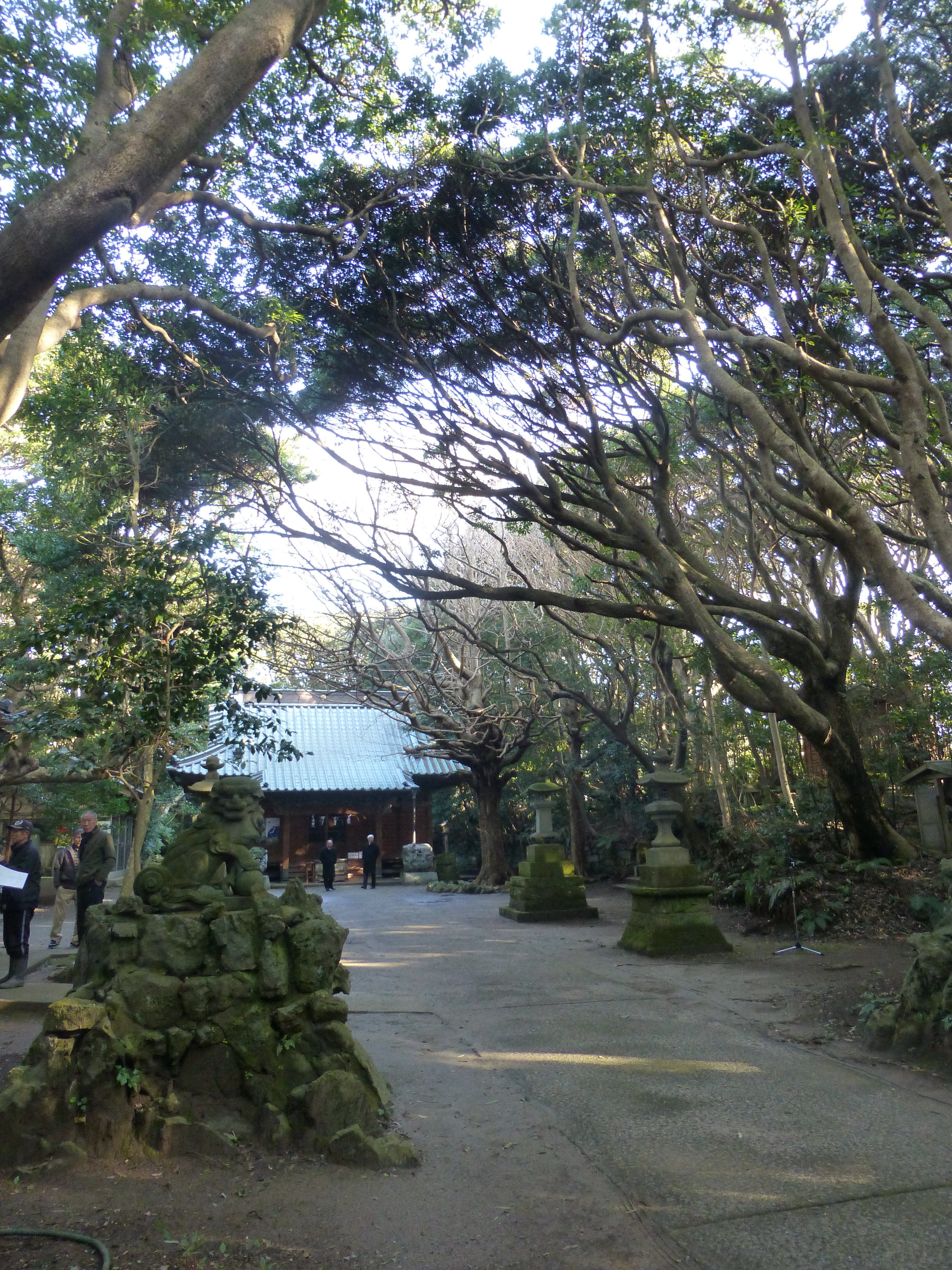 渡海神社
